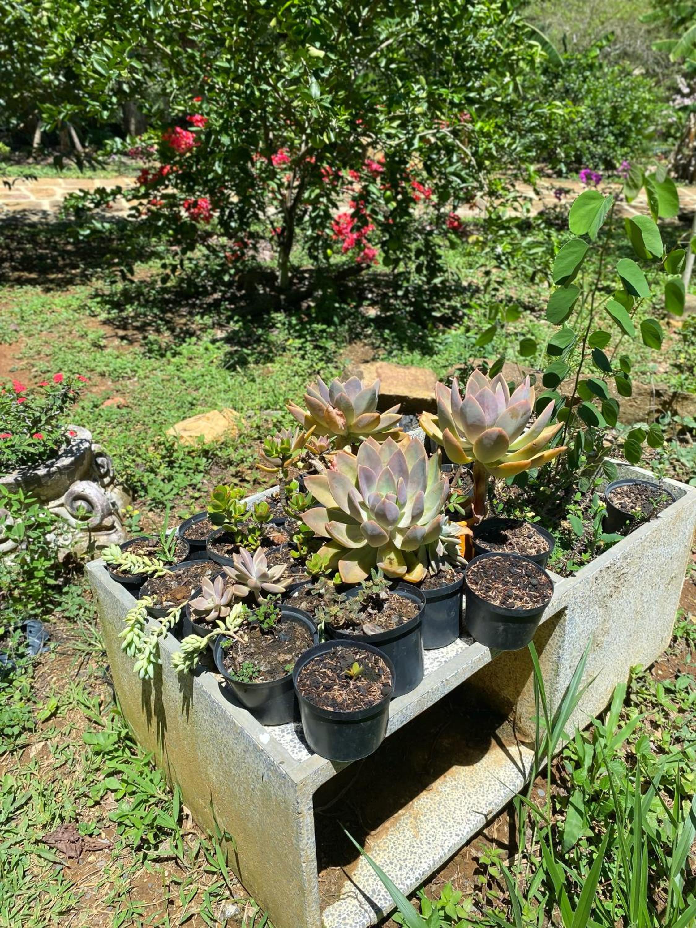 Hostal Villa San Rafael