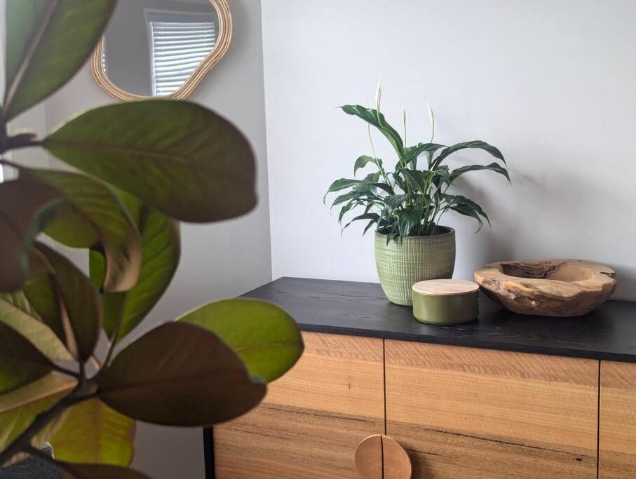Spacious, Central 2bed 2bath, newly renovated gem!