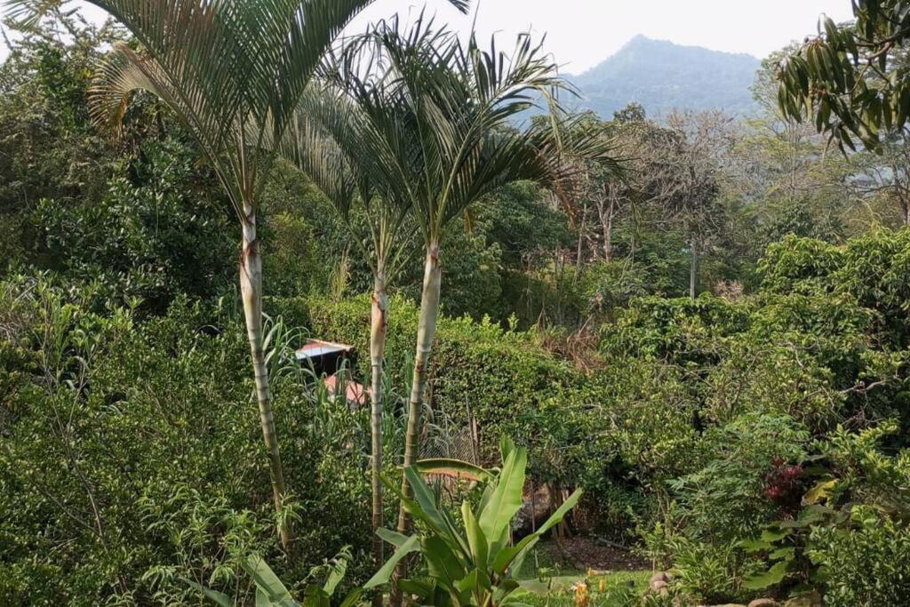 Finca la Casa del Manantial