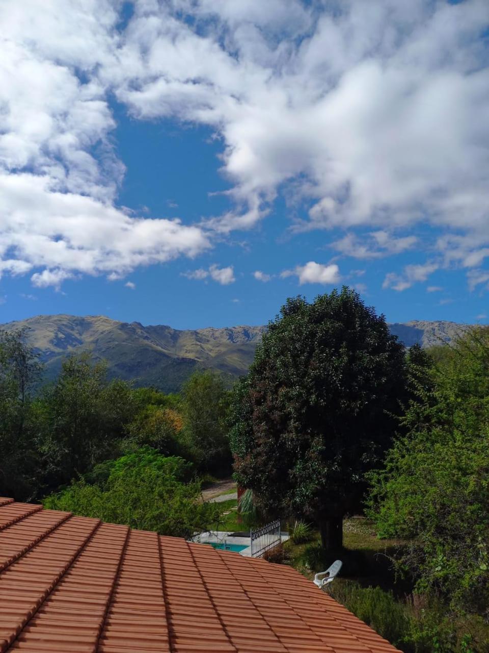 Luz del Rincón