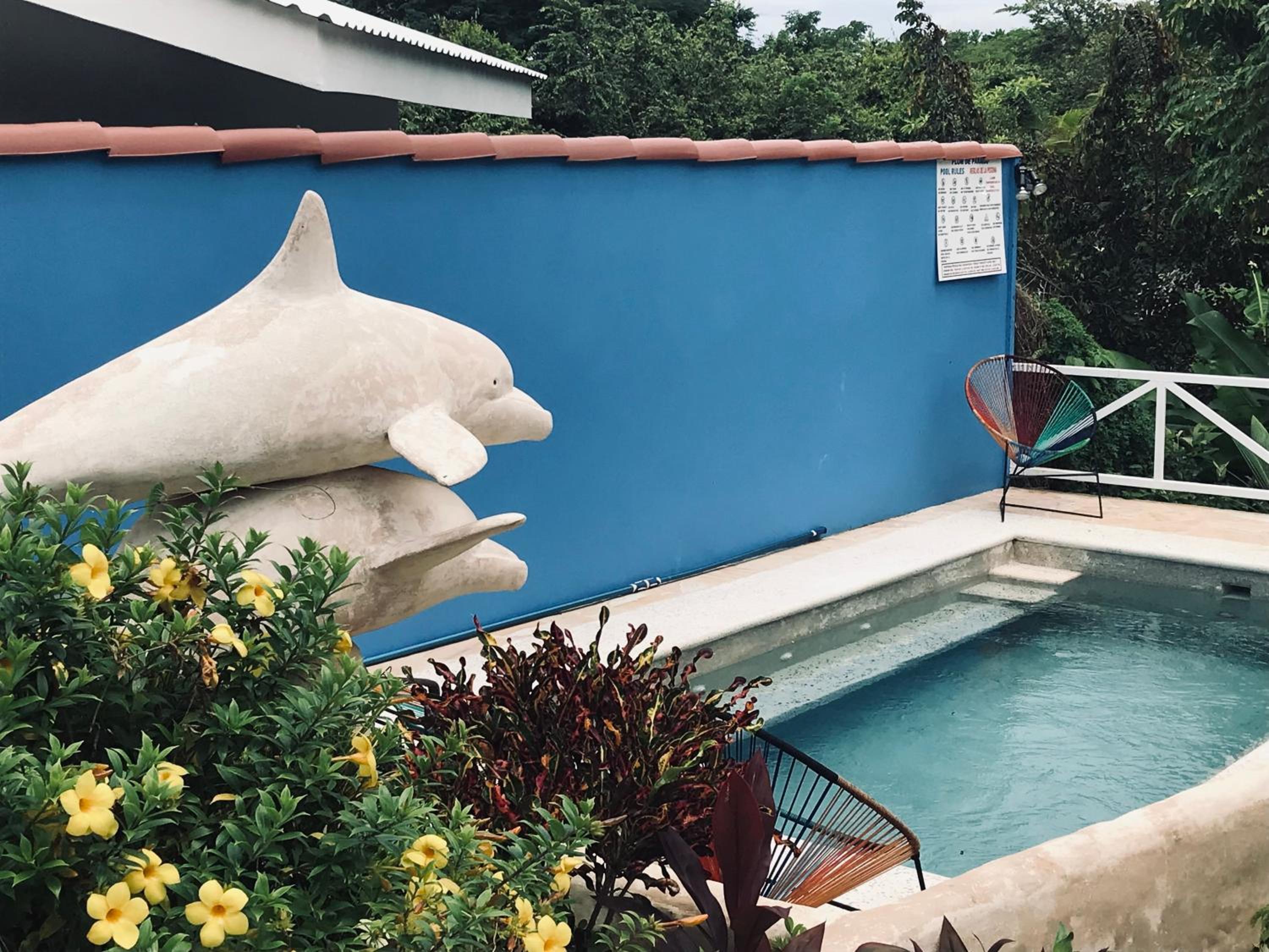 FLOR DE PARAISO BUNGALOWS