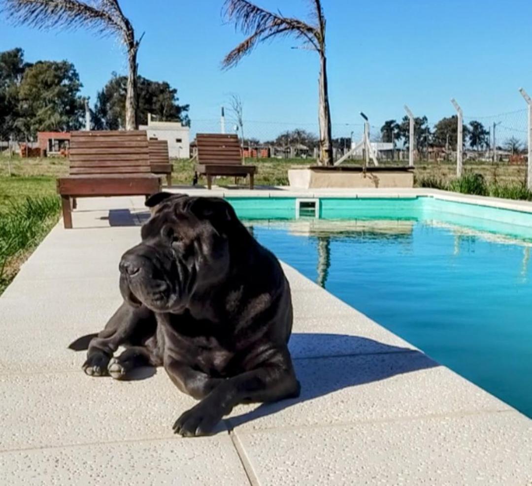 Quinta La Hortensia y El Gauchito