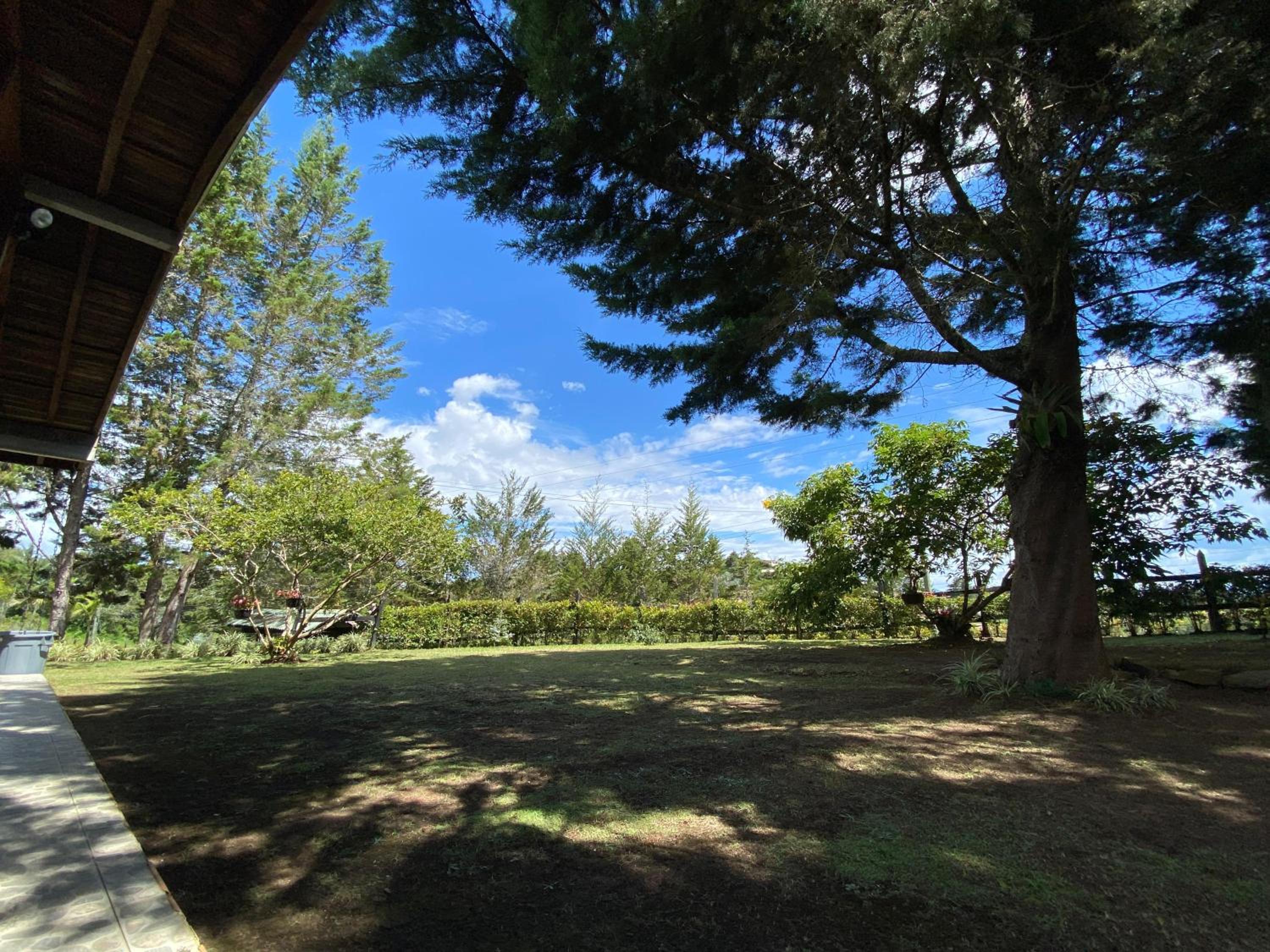Finca La Blanquita - Guarne