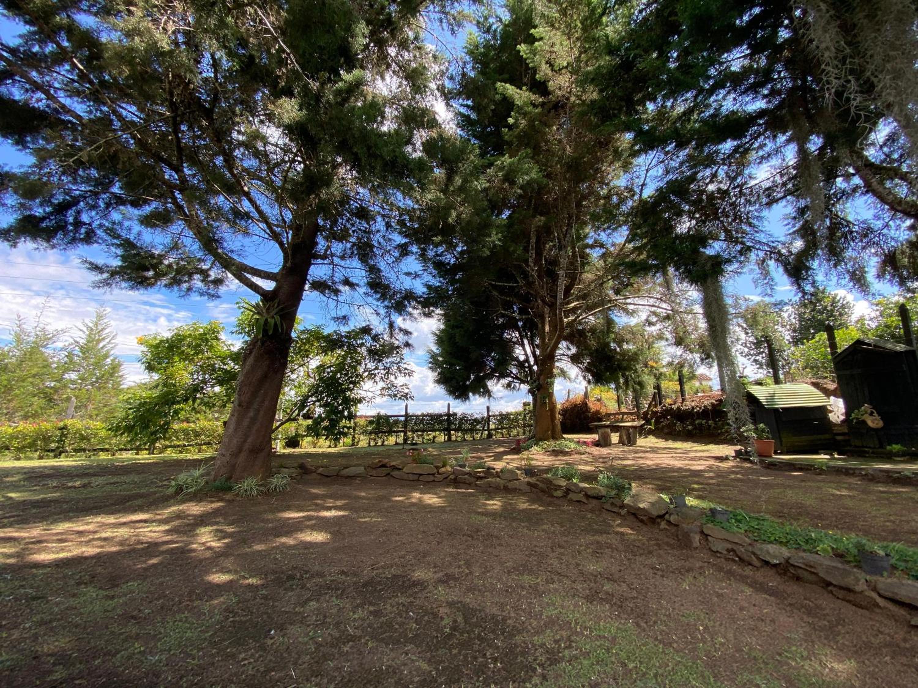 Finca La Blanquita - Guarne