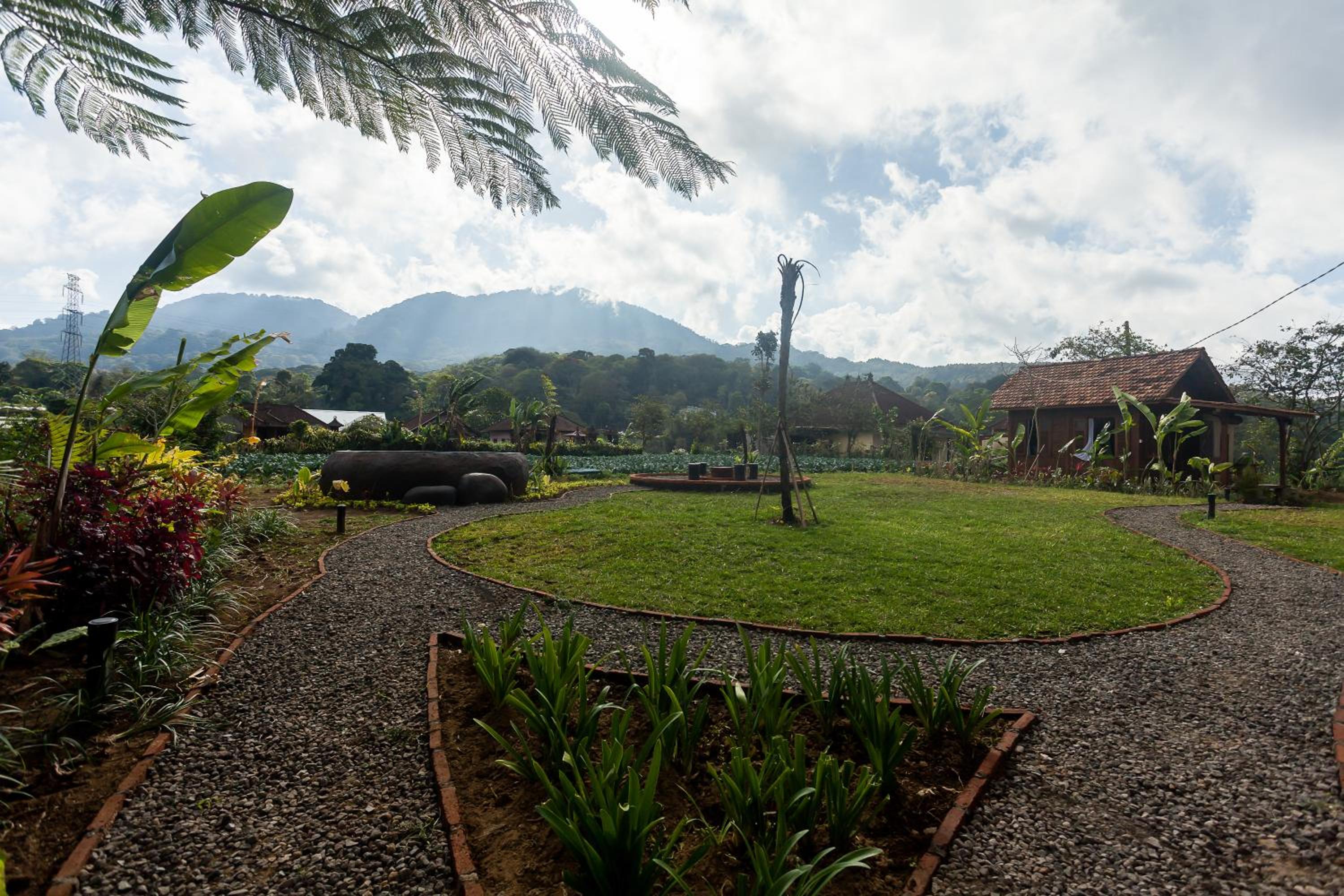 Green Lava Mountain View Cabin Bedugul by IHM view 5
