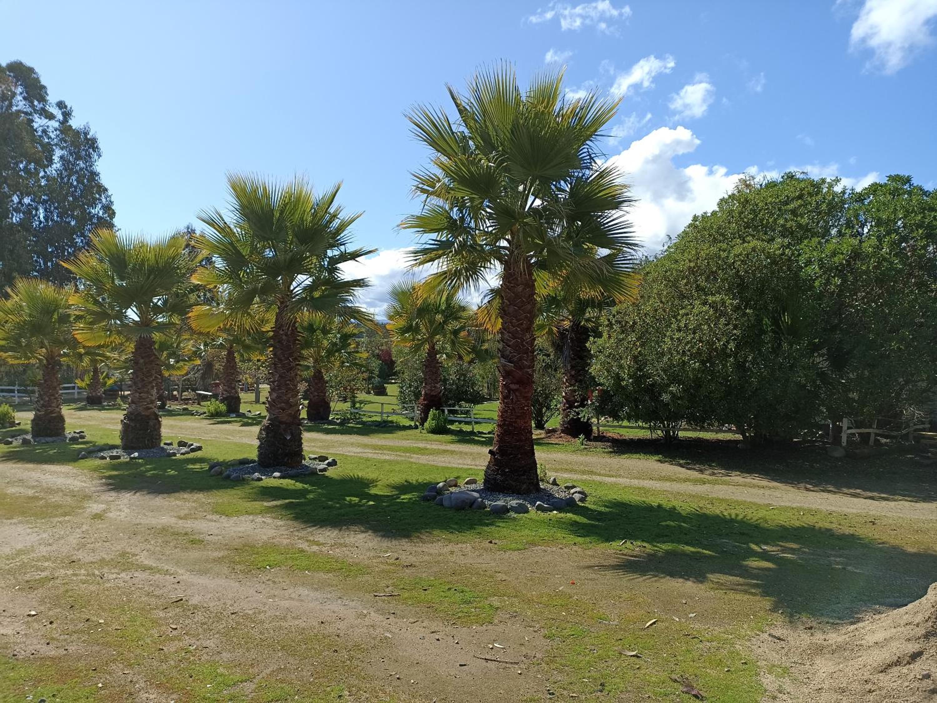 La Querencia de Algarrobo