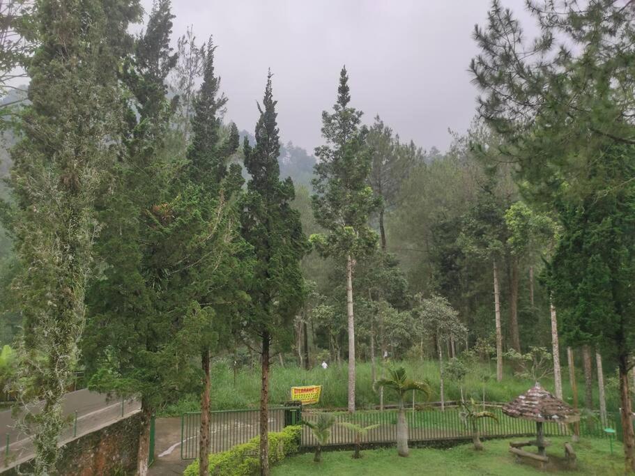 Sejuk Village