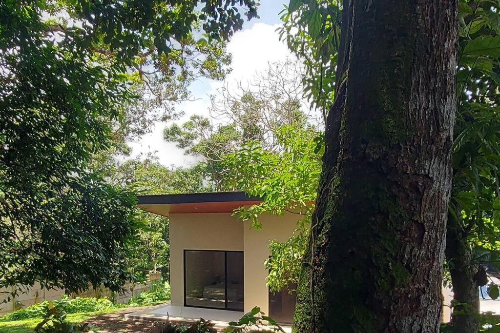 Villa Bosque