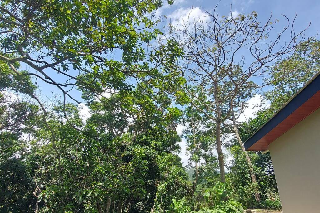 Villa Bosque