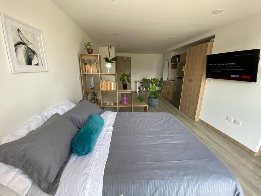 Cozy loft Avenida Santander