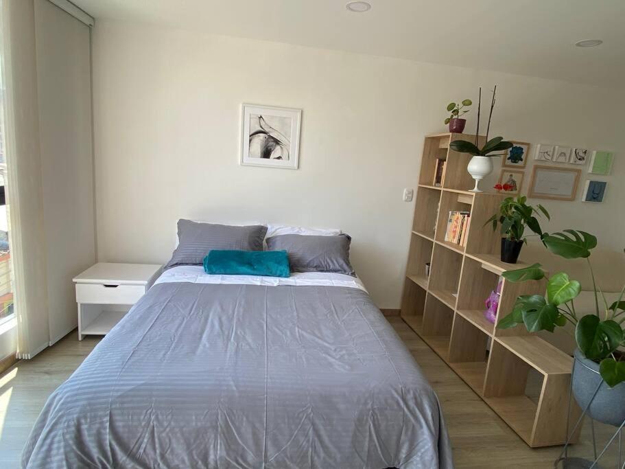 Cozy loft Avenida Santander