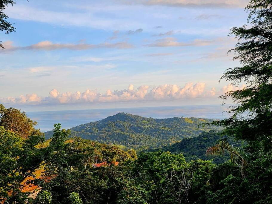 Schoolbus insolite avec vue océan et jungle