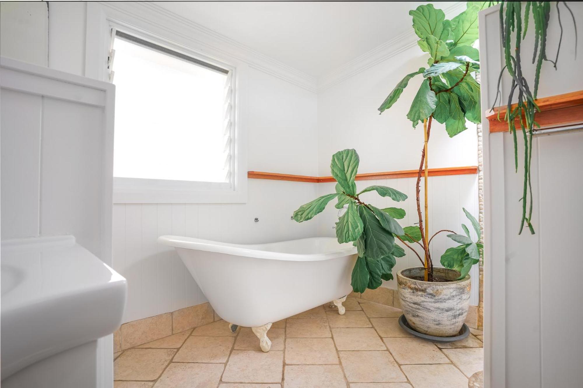 The Pines- Eco Beach House