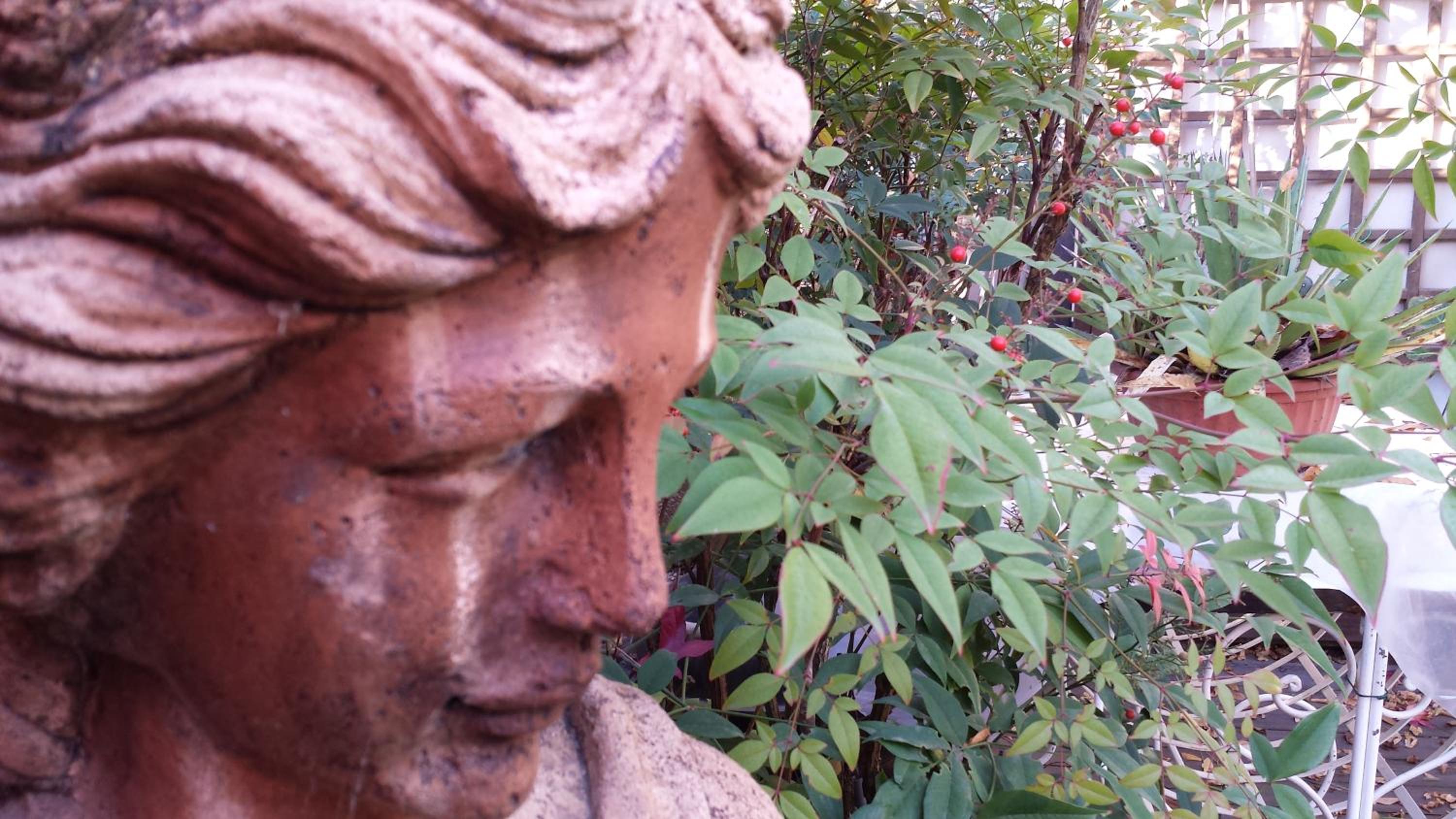 Teapot House photo 3