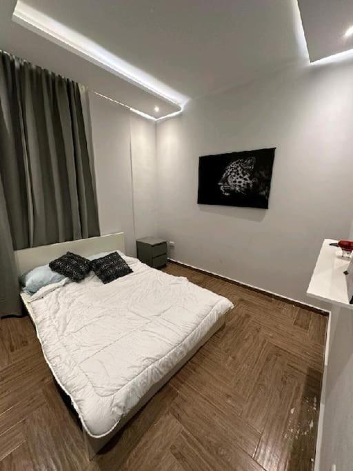 private apartment close pyramids and big museum