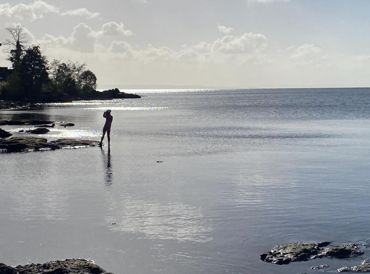 CASA del LAGO orilla PLAYA, PUERTO VARAS nueva en B00KING