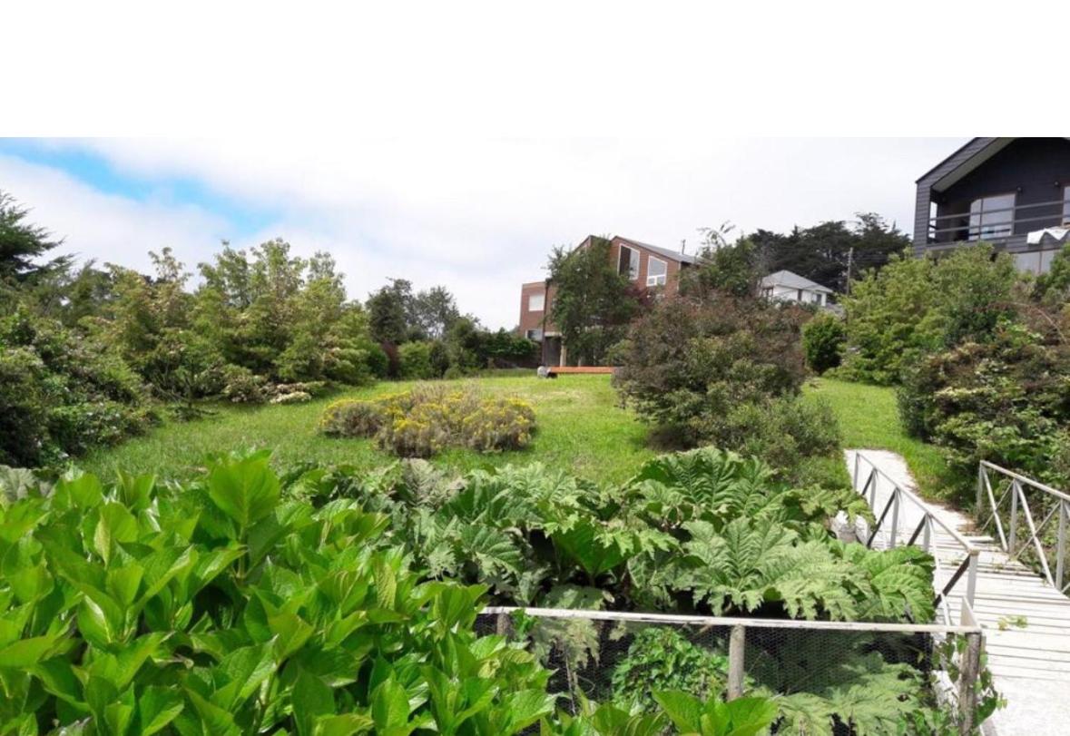 CASA del LAGO orilla PLAYA, PUERTO VARAS nueva en B00KING
