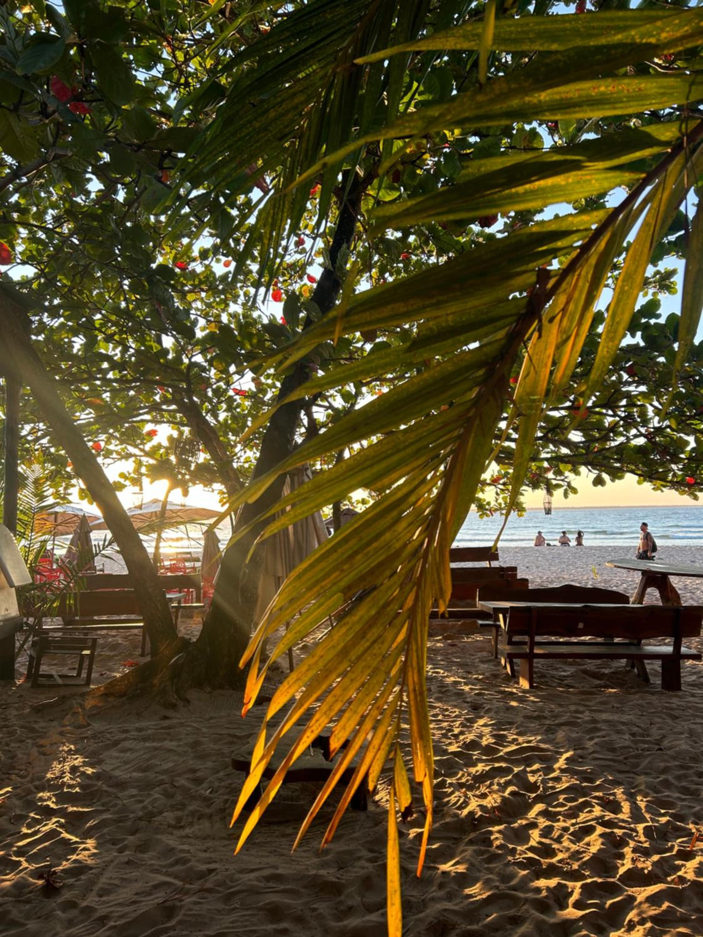 Só Praia triplo, Jardins