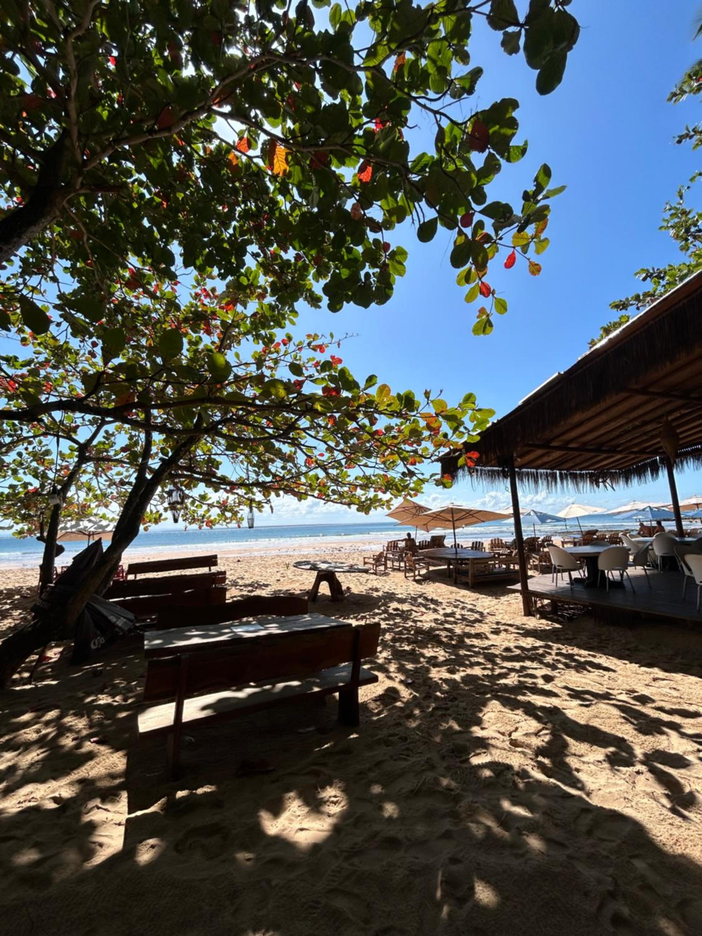 Só Praia triplo, Jardins