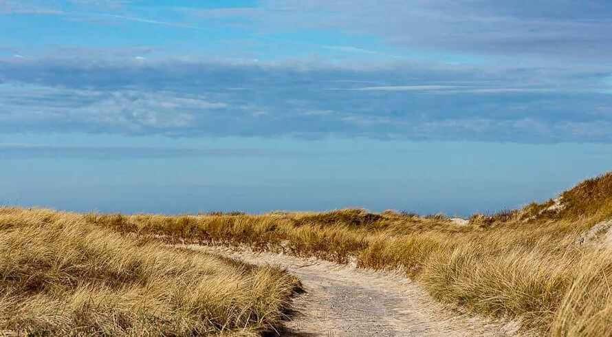 Unique Holiday Apartment With A View In Skagen