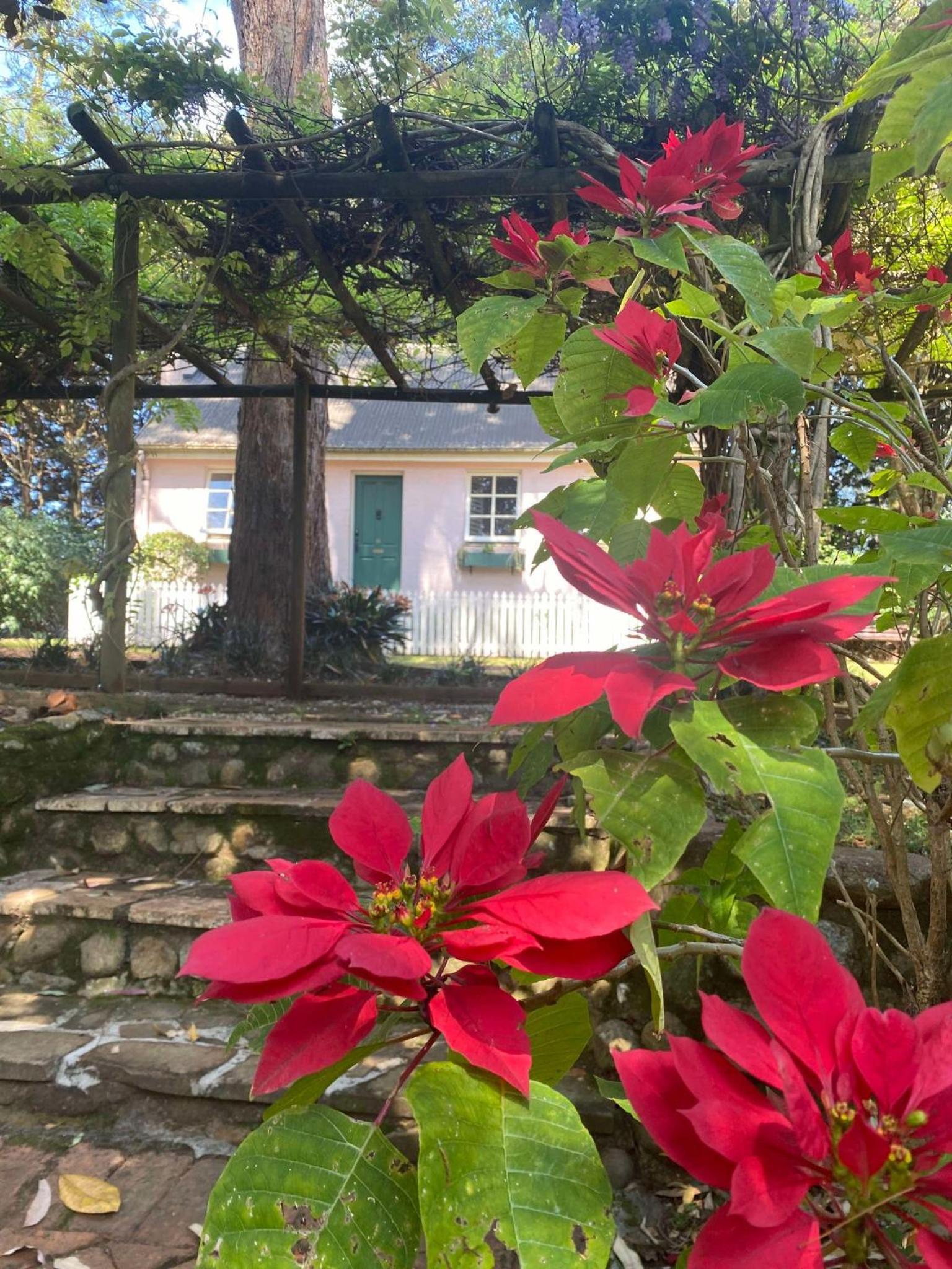 The Romantic Pink English Cottage at Tamborine Mountain