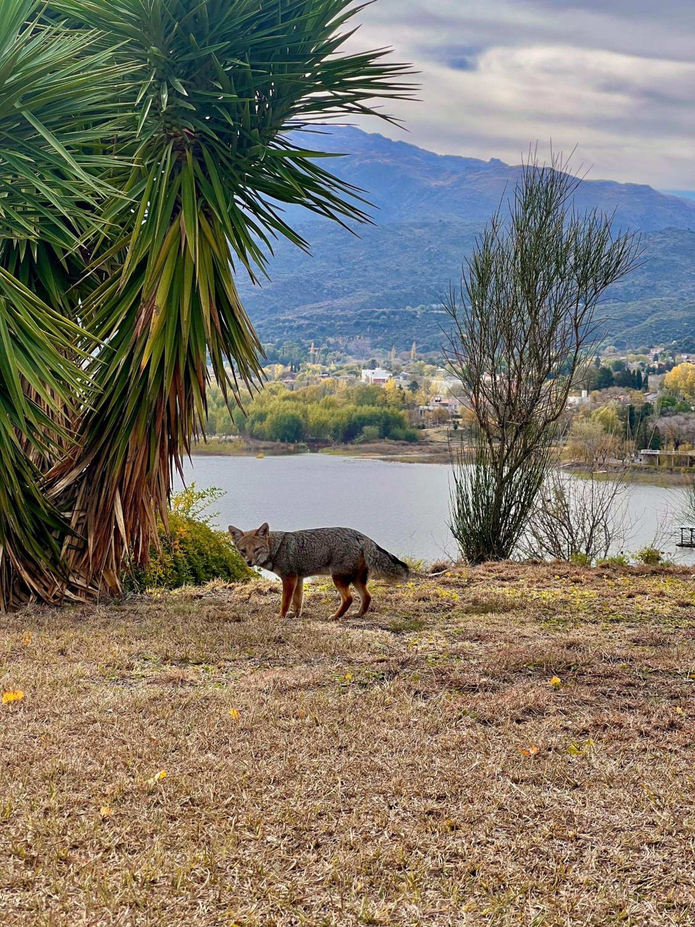 Casa frente al lago con una inmejorable vista