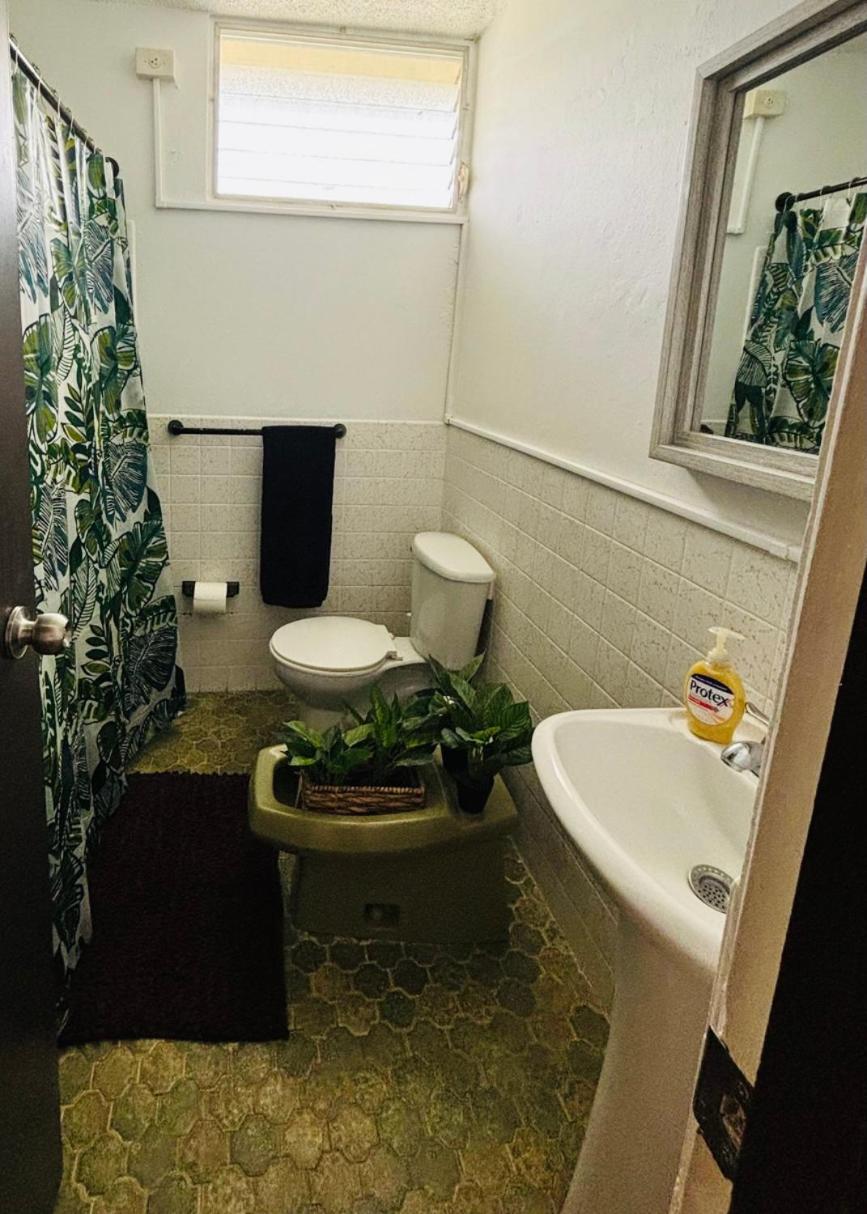 Cozy Room for 2 with Private Bath & Terrace view 4