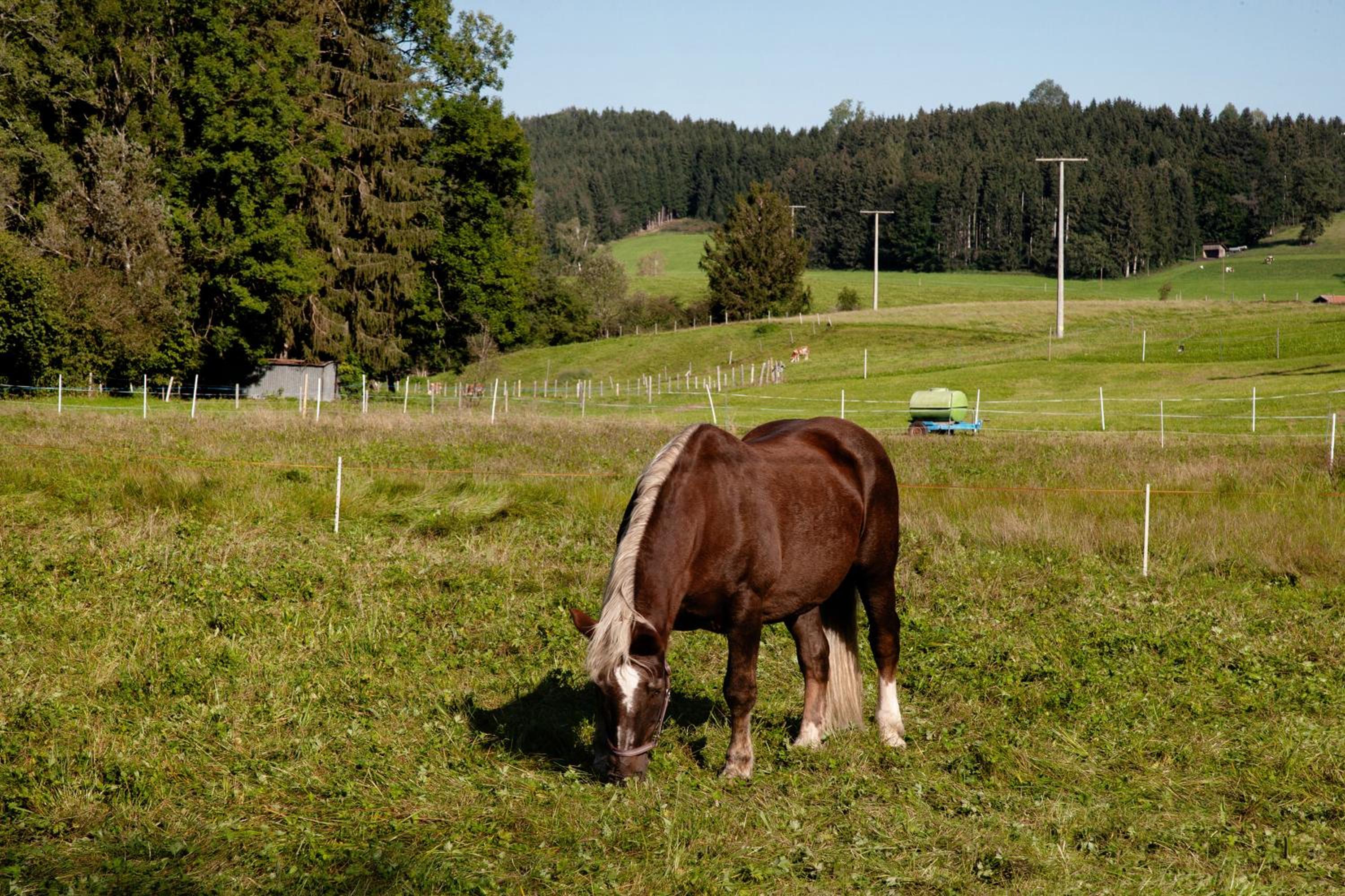 Ferienwohnung Böllenburg