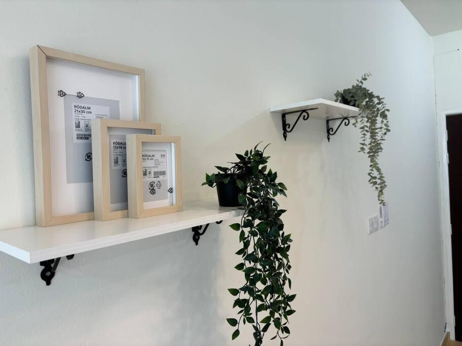 Mount Austin #Palazio A1 Muji-Style 2Pax