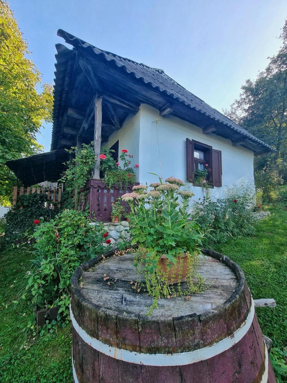 Photo 25