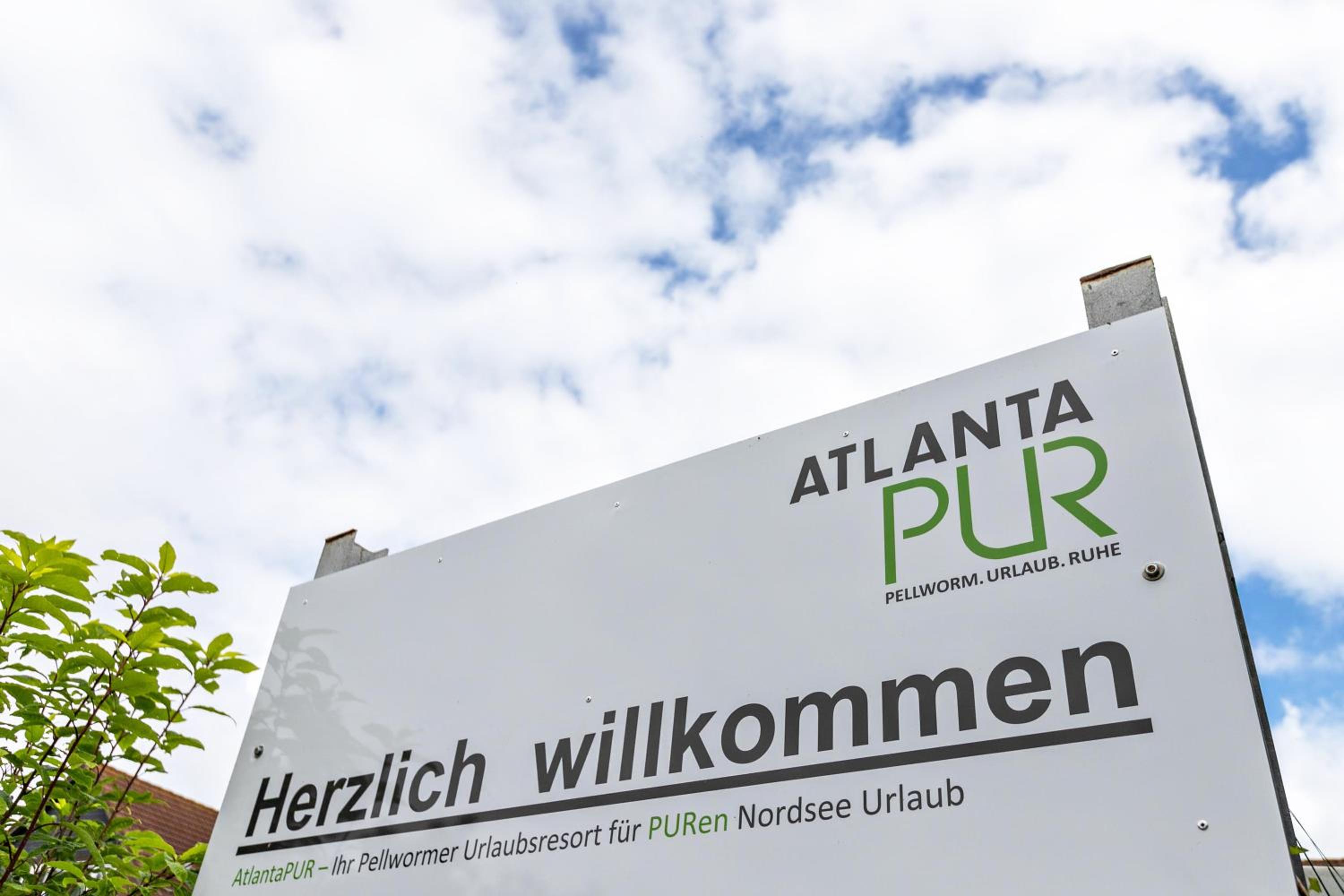 Atlanta Pur