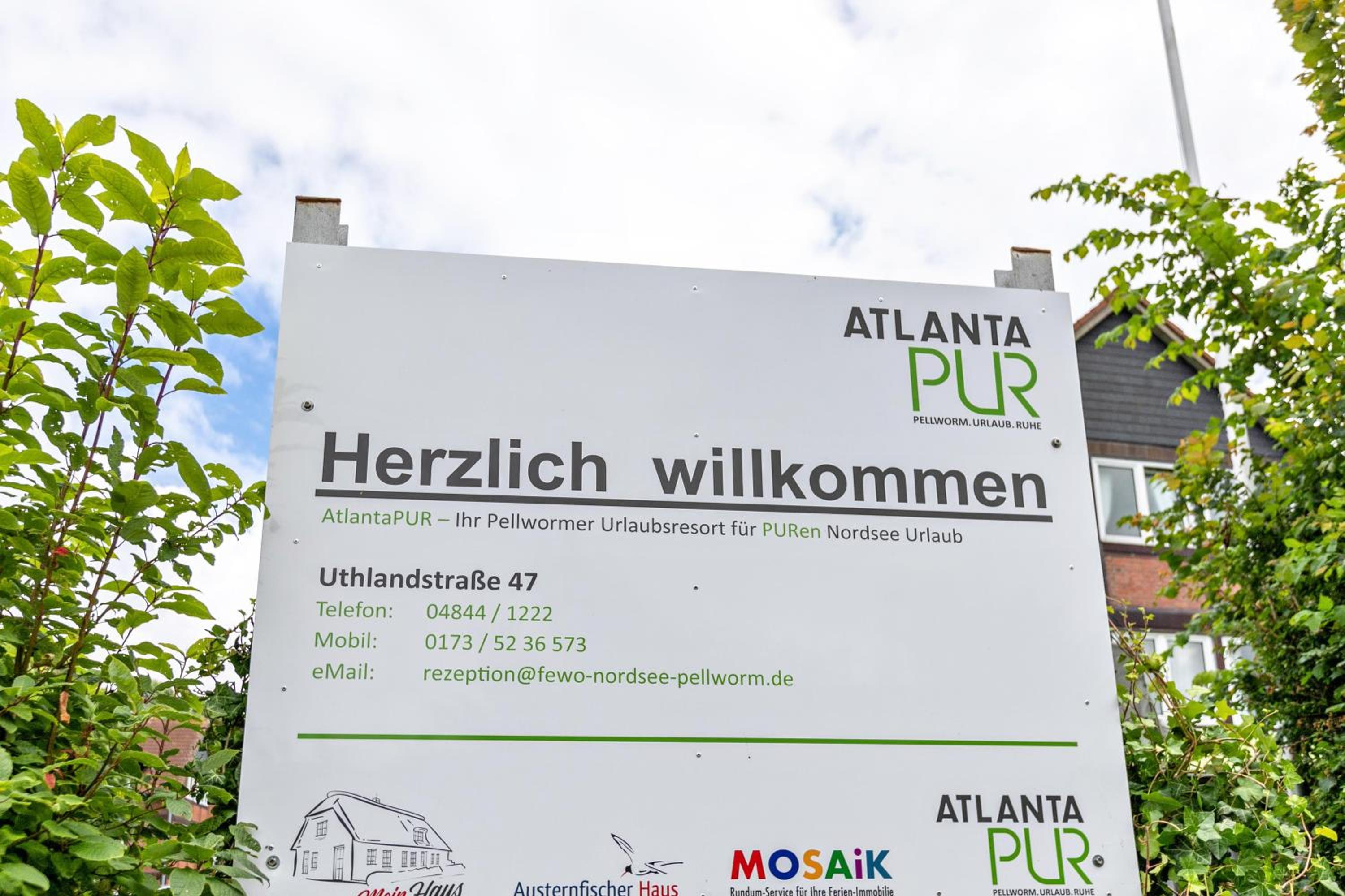 Atlanta Pur