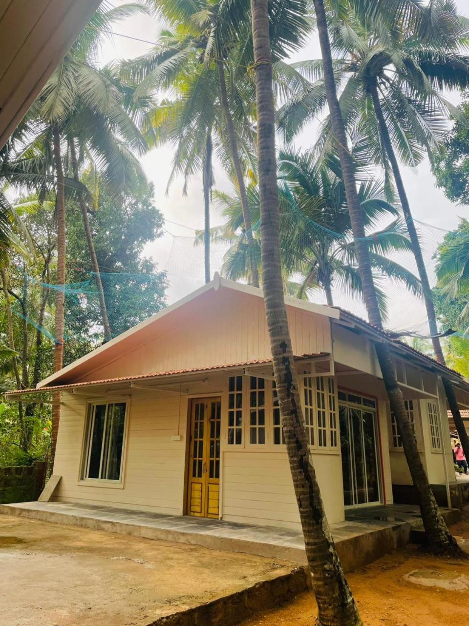 The Mild Goa, photo 26