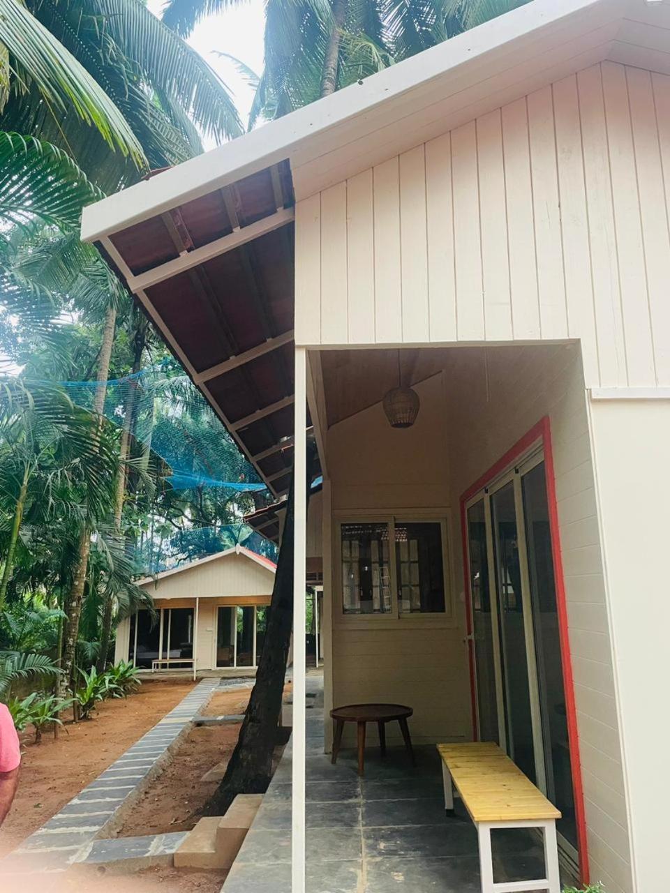 The Mild Goa, photo 47