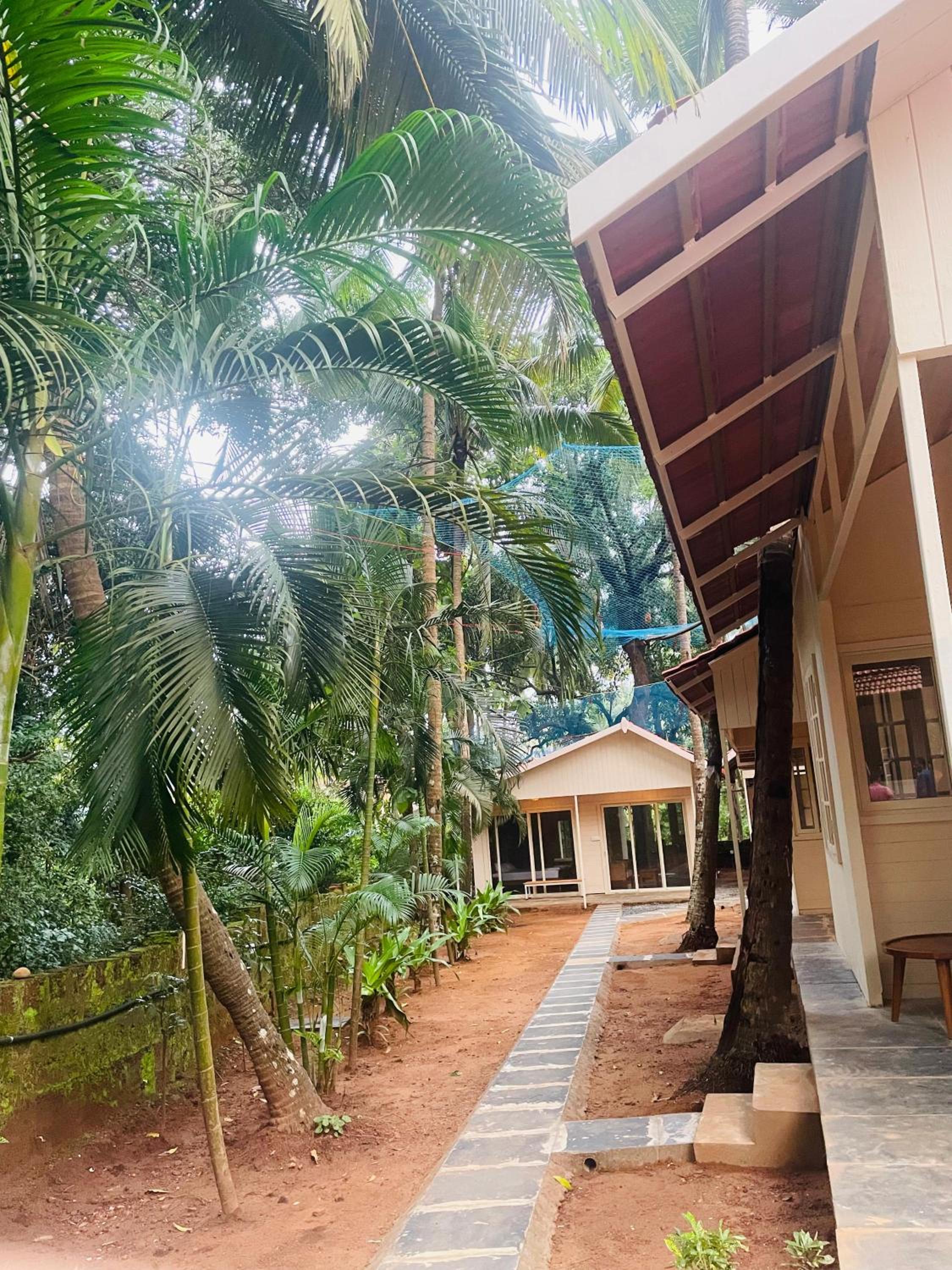 The Mild Goa, photo 41
