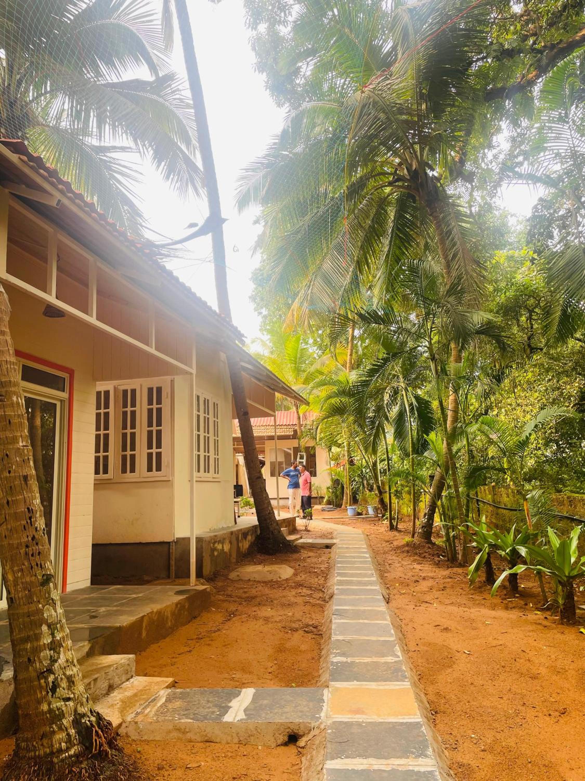 The Mild Goa, photo 22