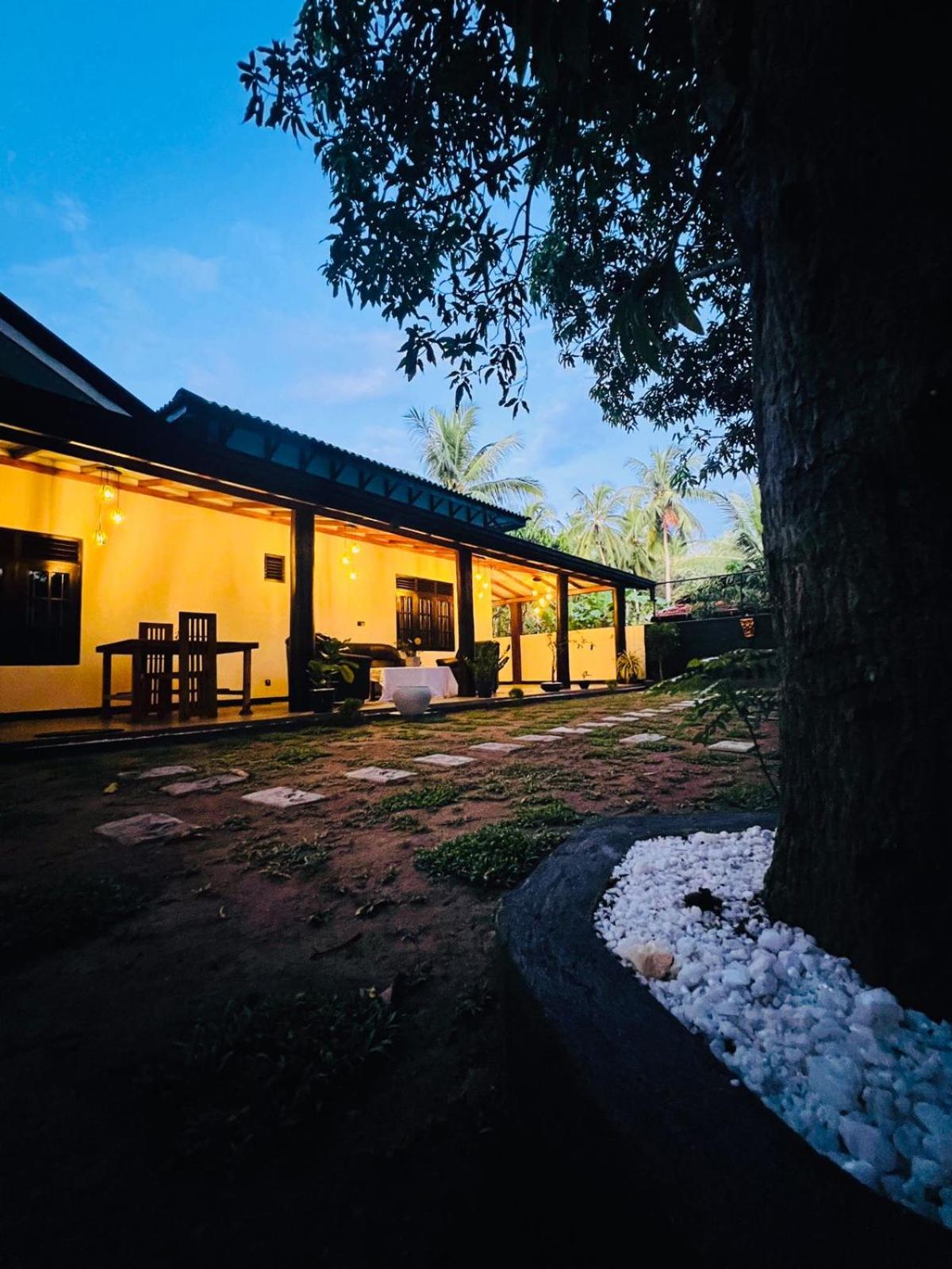 Cozy House