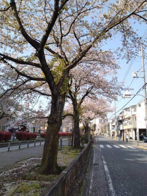 Detached Japanese wooden house, a rarity in Tokyo of Quiet residential area! Rent out the whole house 7 min walk from JR Kameari station