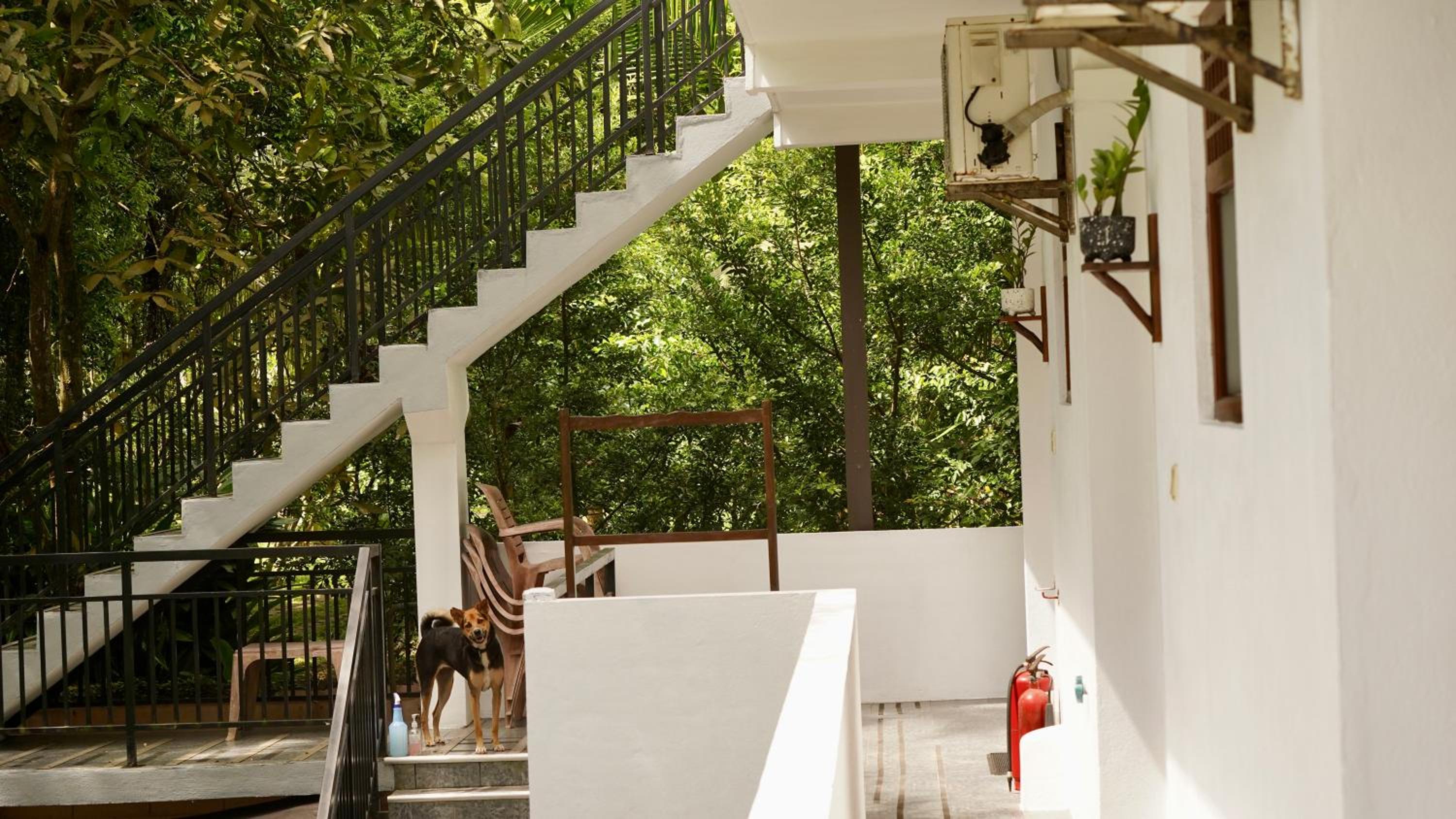 OceanLife Surf Stay at Horizon Inn