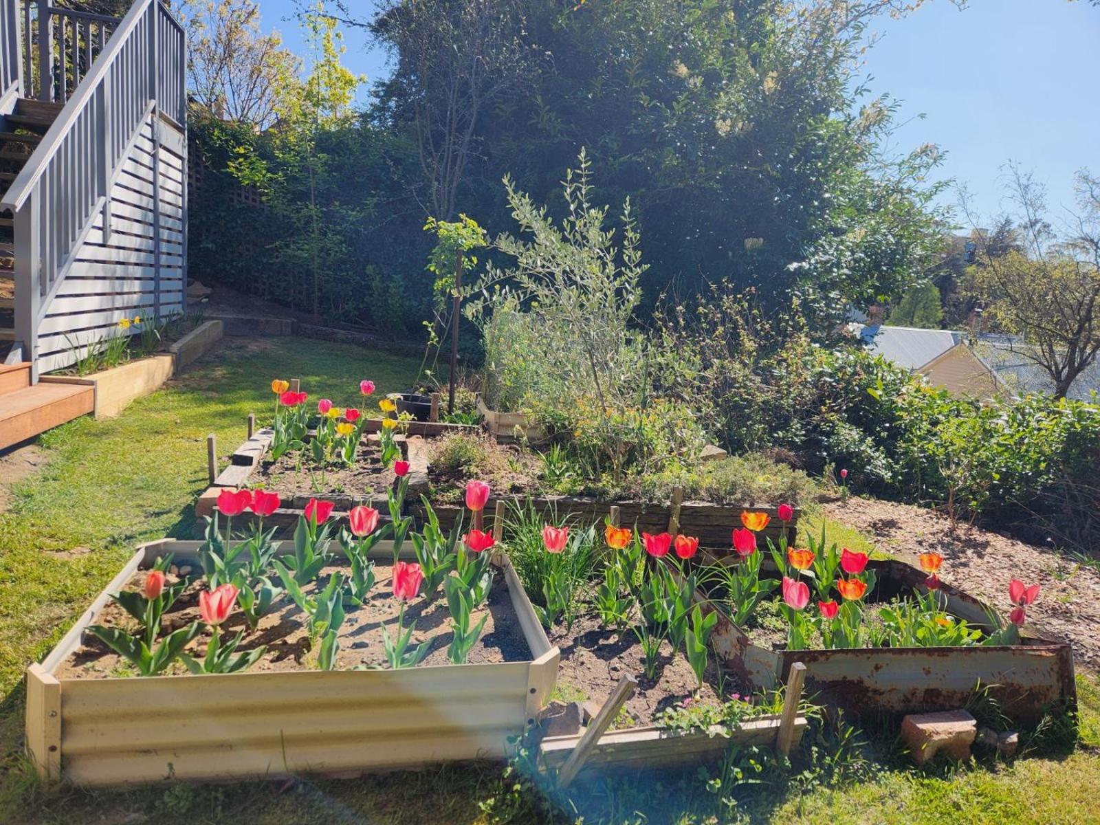 Blue Mountains Bliss Cottages Katoomba - Rosebud
