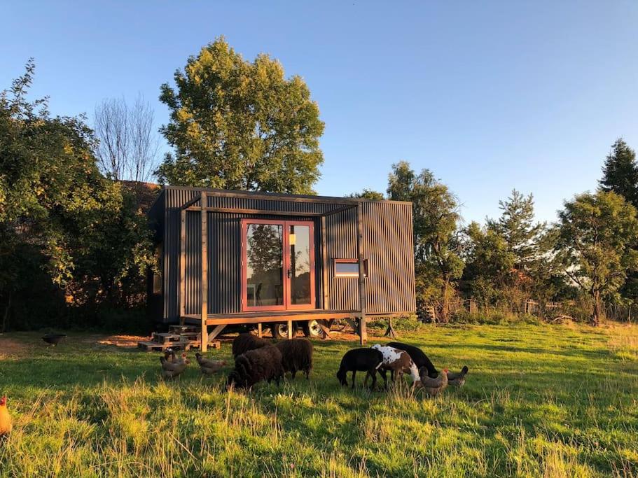 Tiny house v ohradě