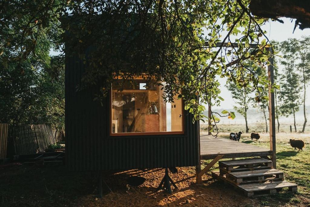 Tiny house v ohradě