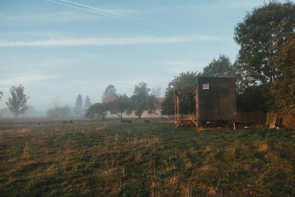 Tiny house v ohradě