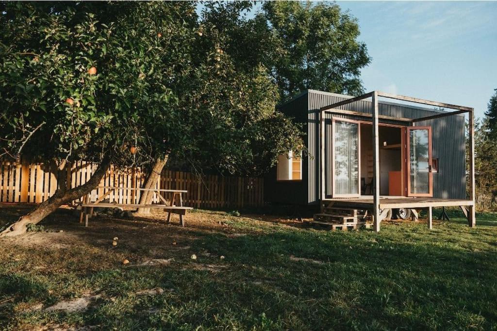 Tiny house v ohradě