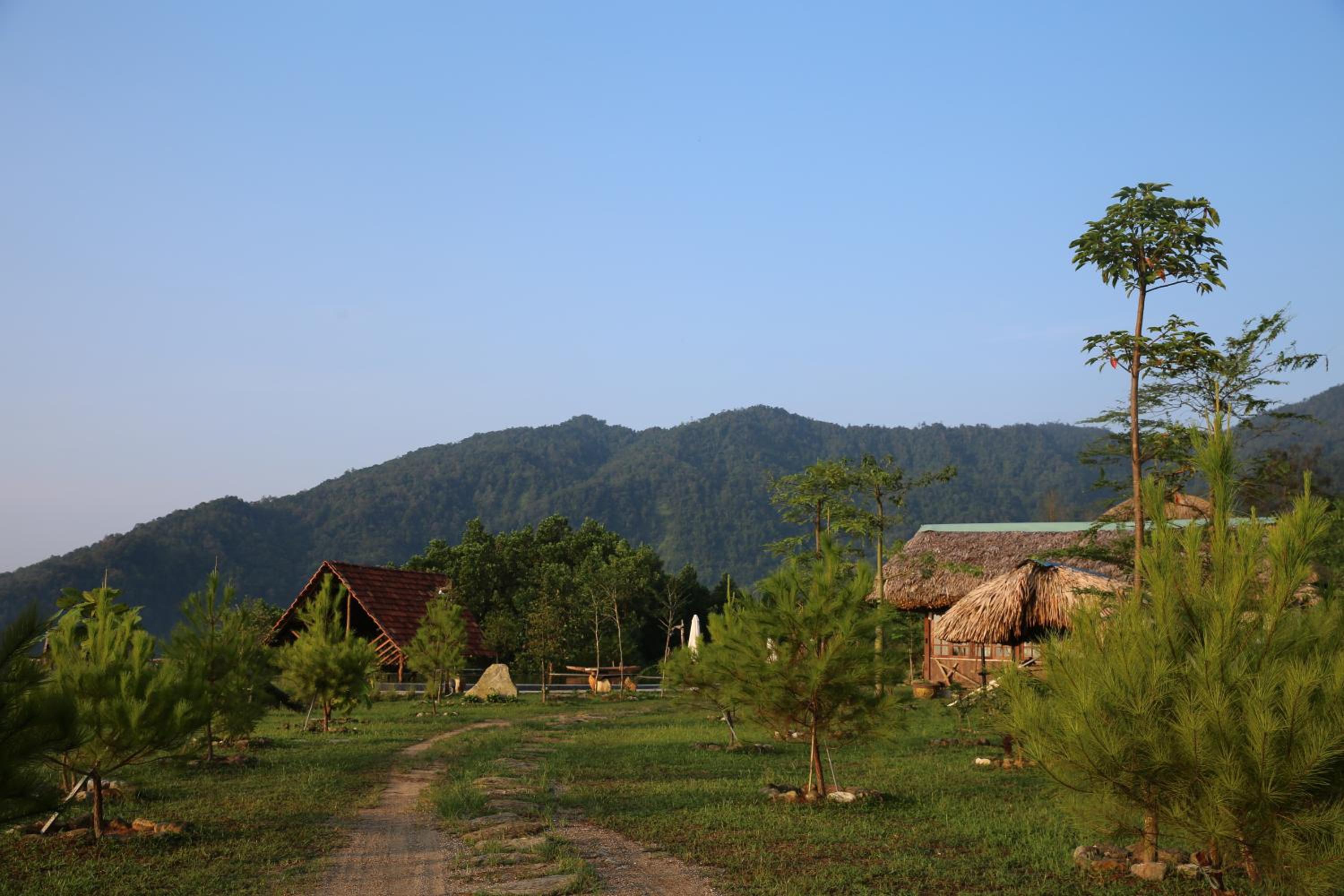 Photo 40