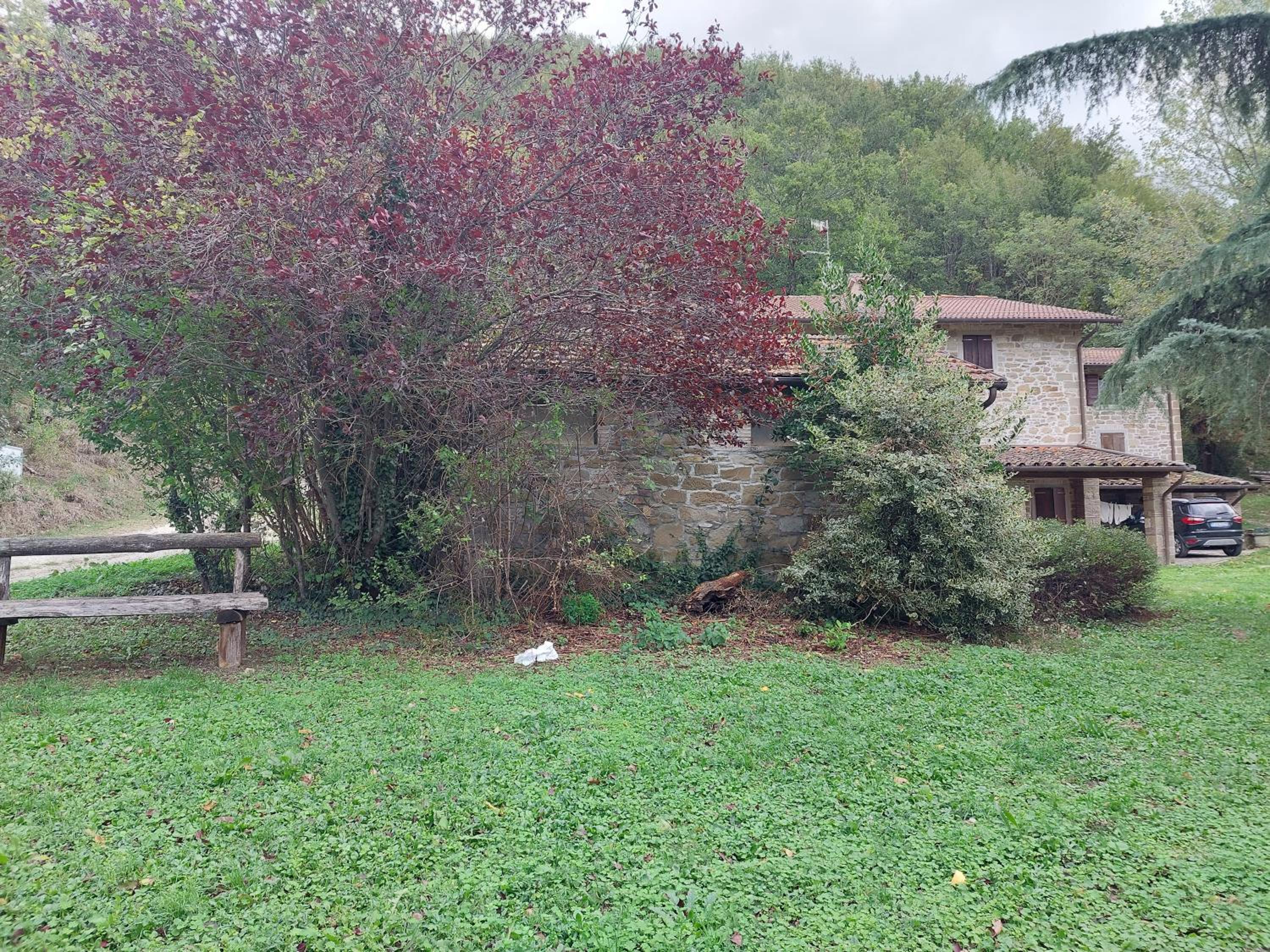 Casa Ridapio: Trail & Relax view 2