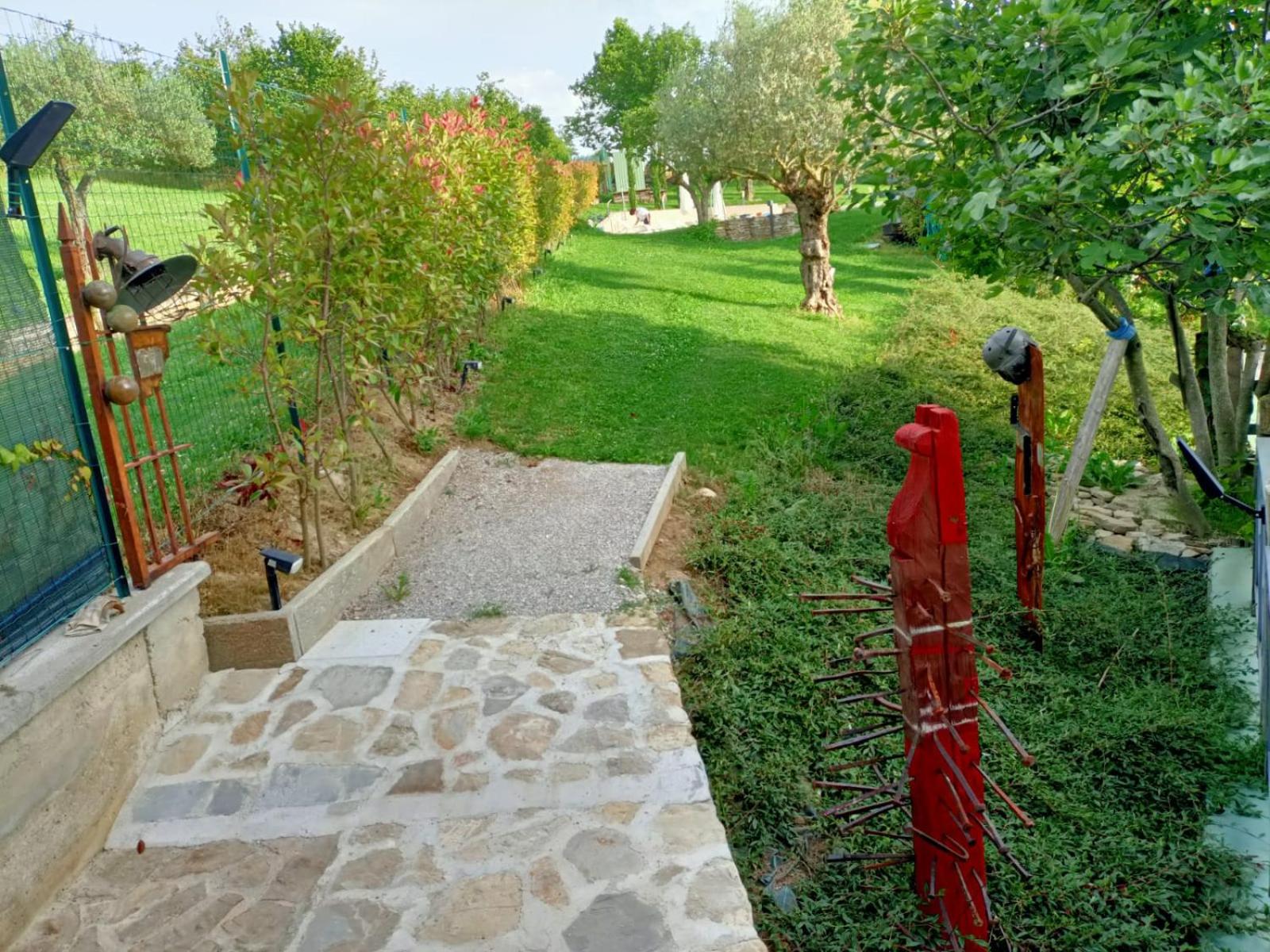 Photo 6
