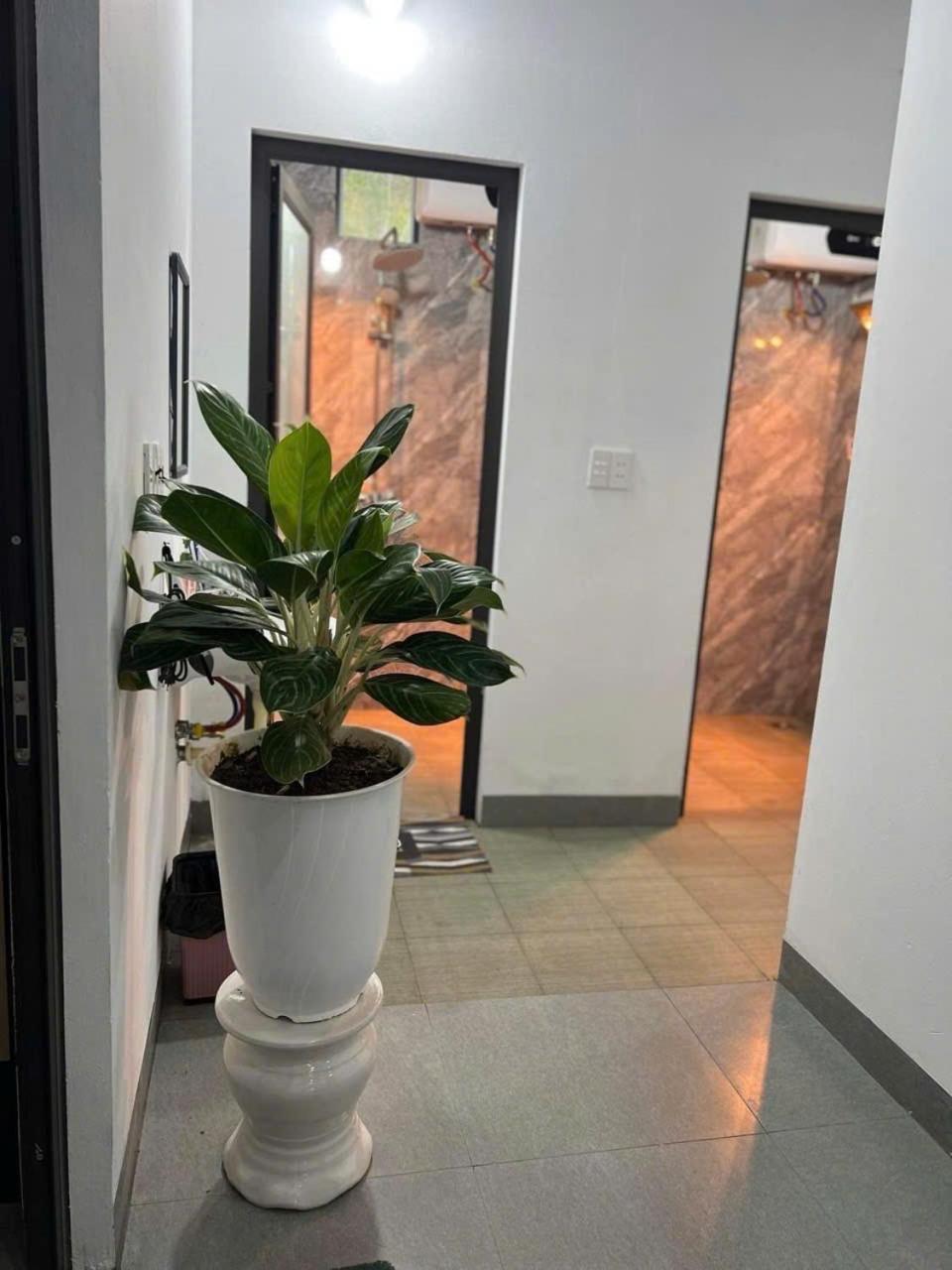 Mã Pì Lèng Homestay