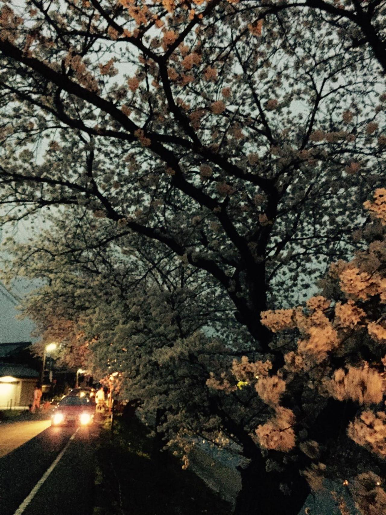 Kyoto Seimeikan