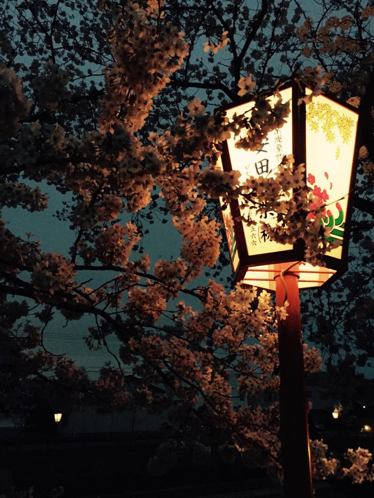 Kyoto Seimeikan